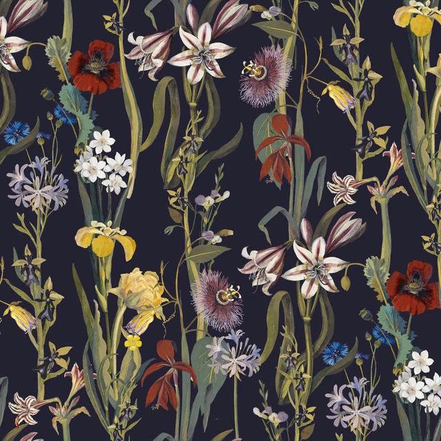Midnight navy wallpaper with colourful lilies, irises, poppies and curling botanical stems