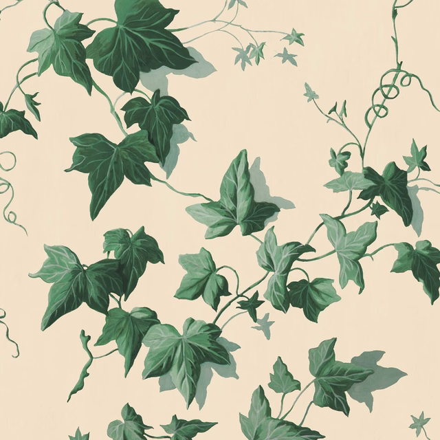 Viridian ivy leaves and curling green vines on a warm cream wallpaper ground