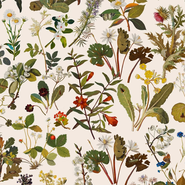 Ecru wallpaper with dense botanical specimens in green, russet, ochre, blue and plum