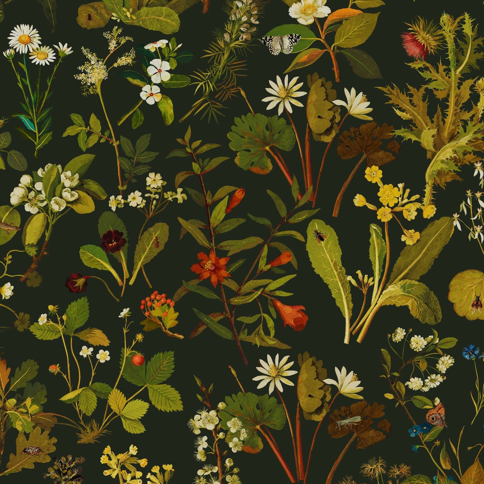 Forest green wallpaper with dense illustrated leaves, daisies, flowers and winding botanical stems