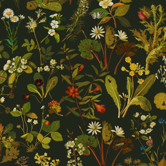 Forest green wallpaper with dense illustrated leaves, daisies, flowers and winding botanical stems