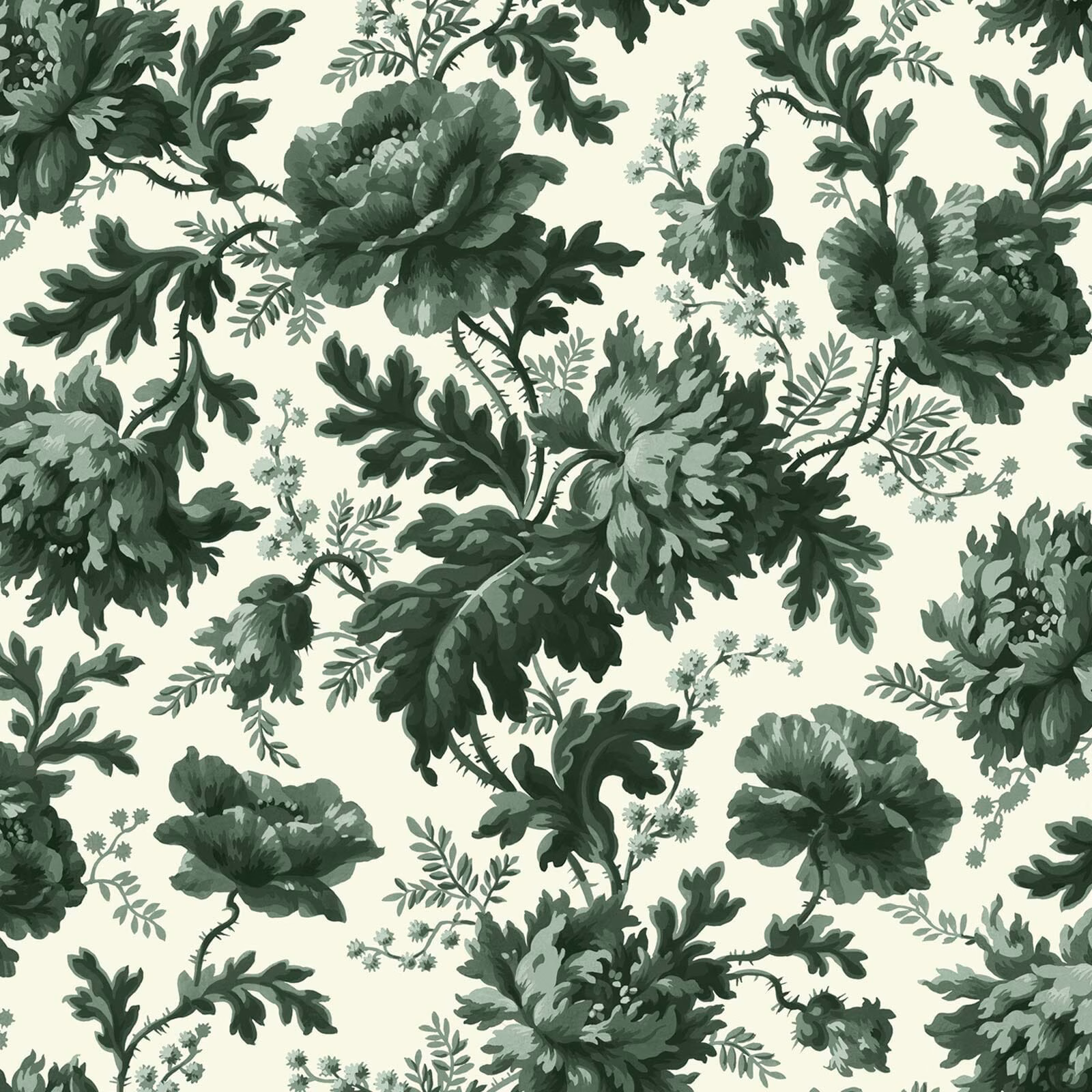Opaline wallpaper with oversized sage blooms and dark green botanical foliage on a pale ground