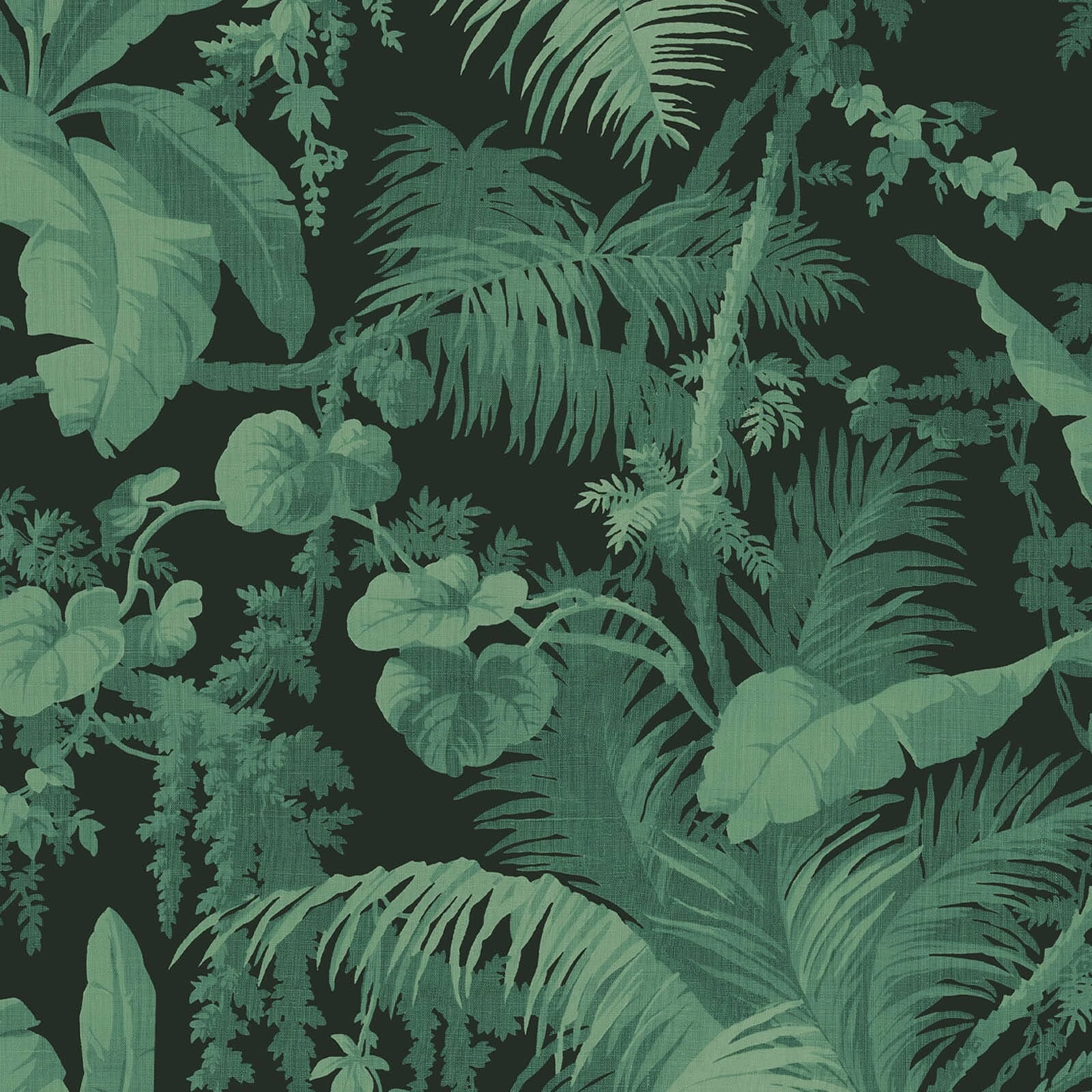 Layered tropical leaves in muted greens against a deep near-black green ground