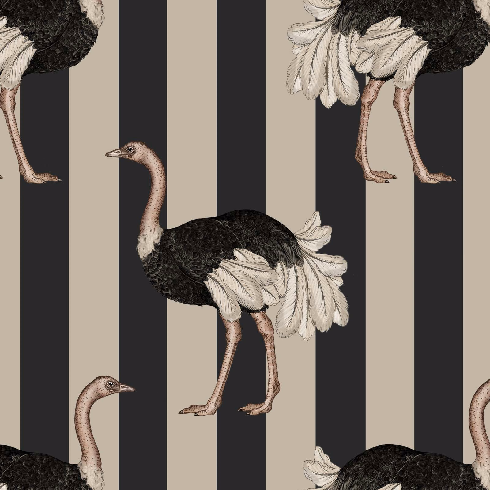 Clay and off-black striped wallpaper with detailed black and ivory ostriches