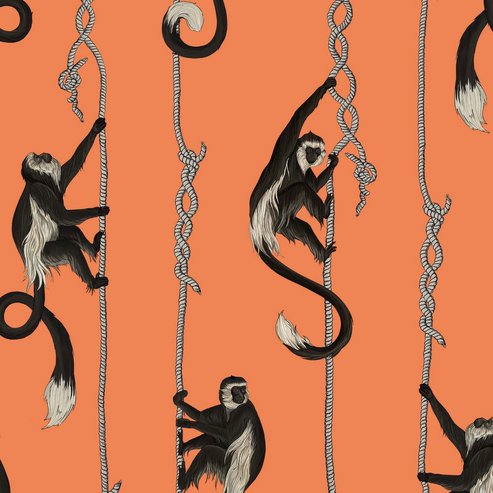 Coral-orange wallpaper with black-and-cream monkeys swinging from knotted vertical ropes