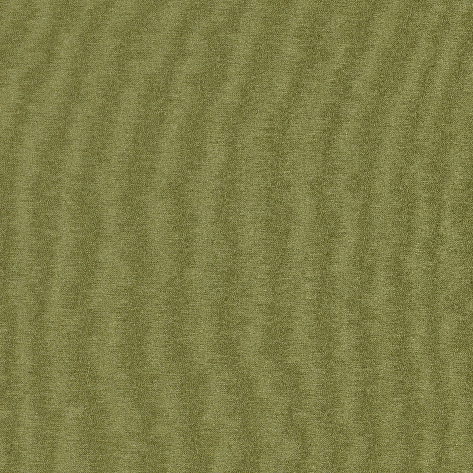 Muted avocado-green plain weave with a fine, softly textured surface