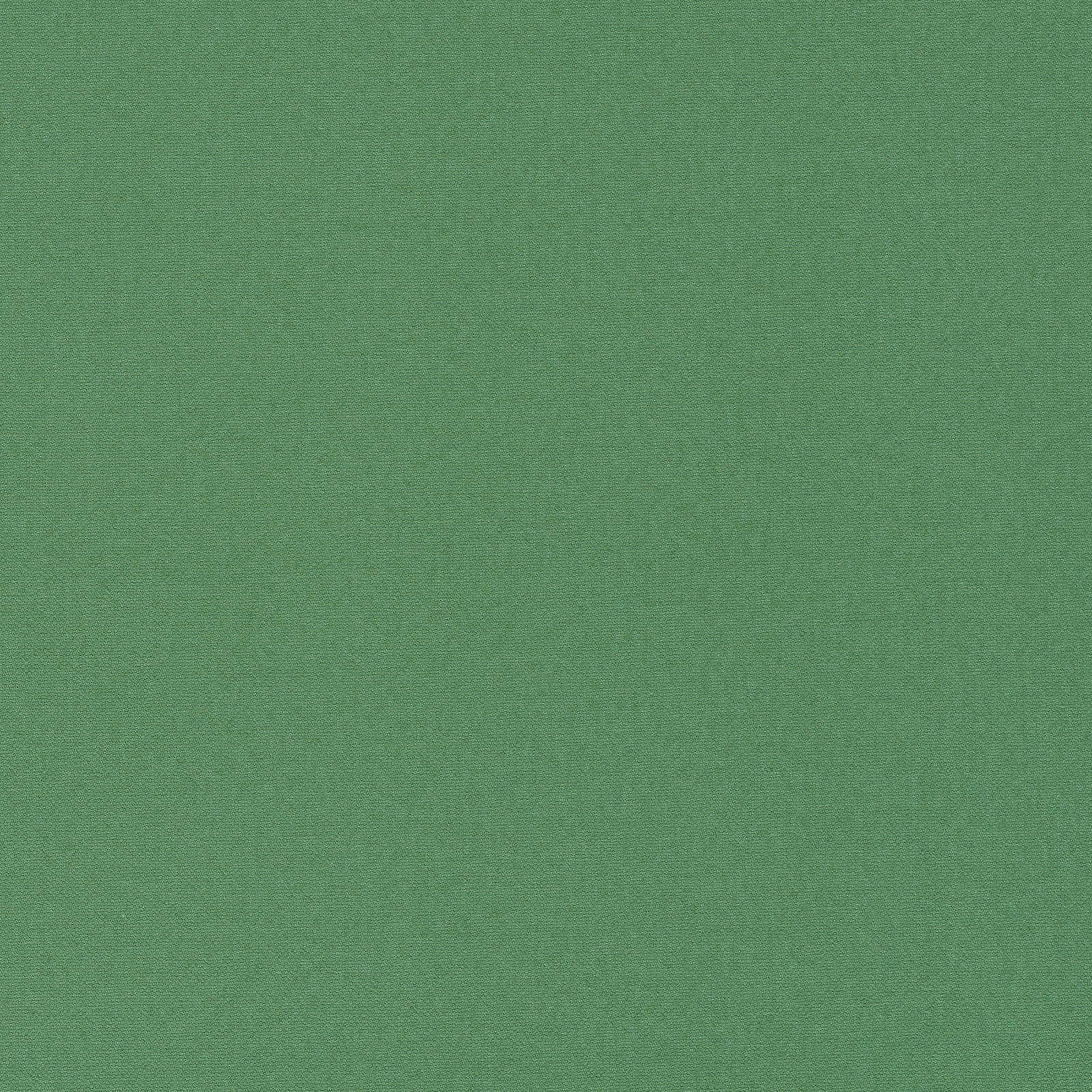 Fine plain weave fabric in a softly muted jade green with subtle surface grain