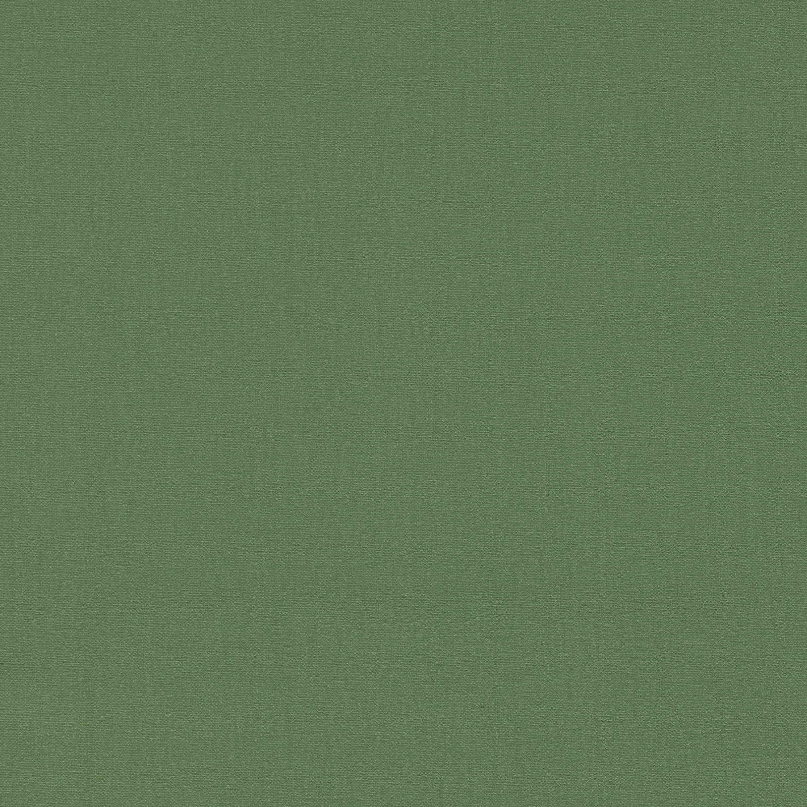 Muted nettle-green plain weave with a fine, softly textured surface
