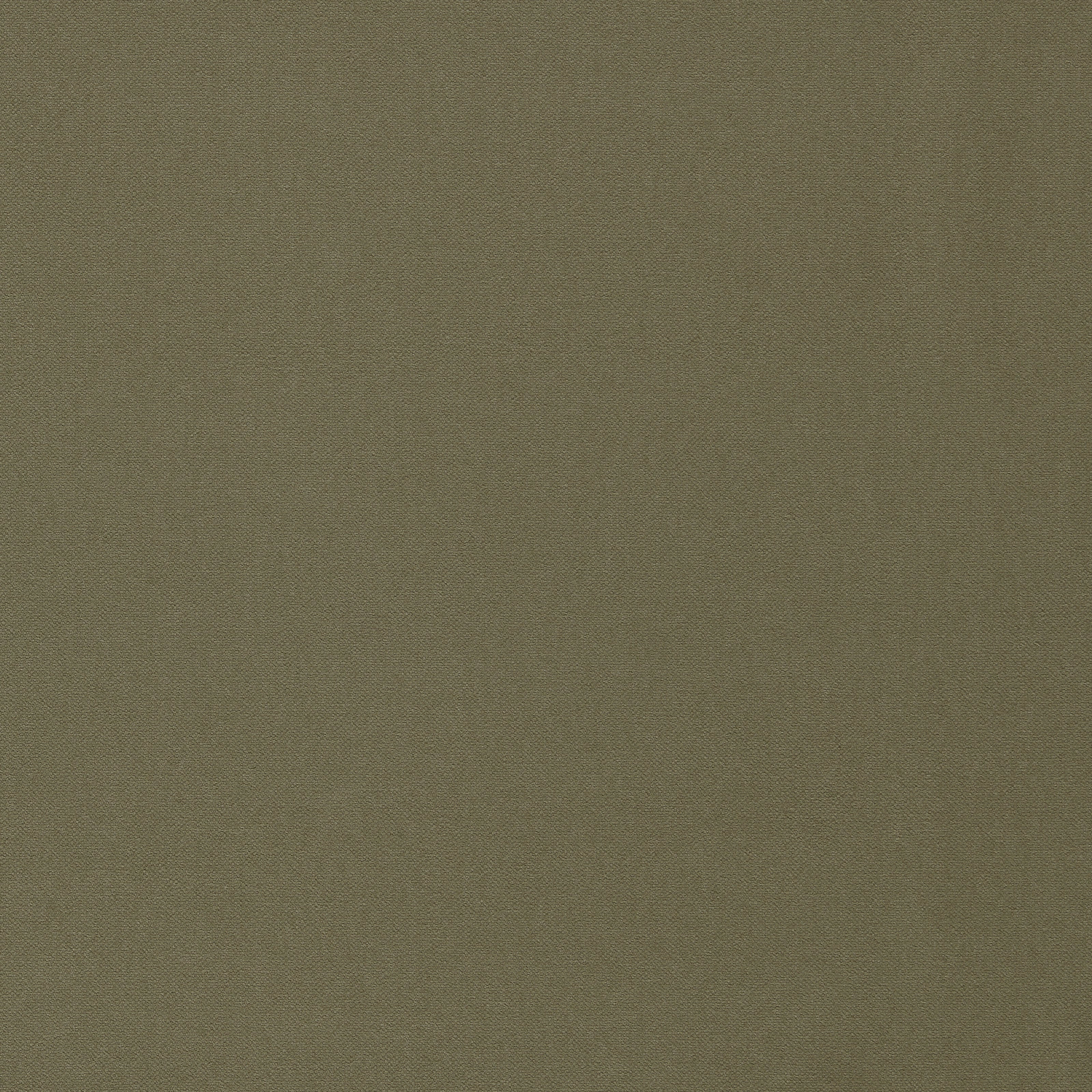 Muted olive green Allegra fabric showing a fine, closely woven plain texture