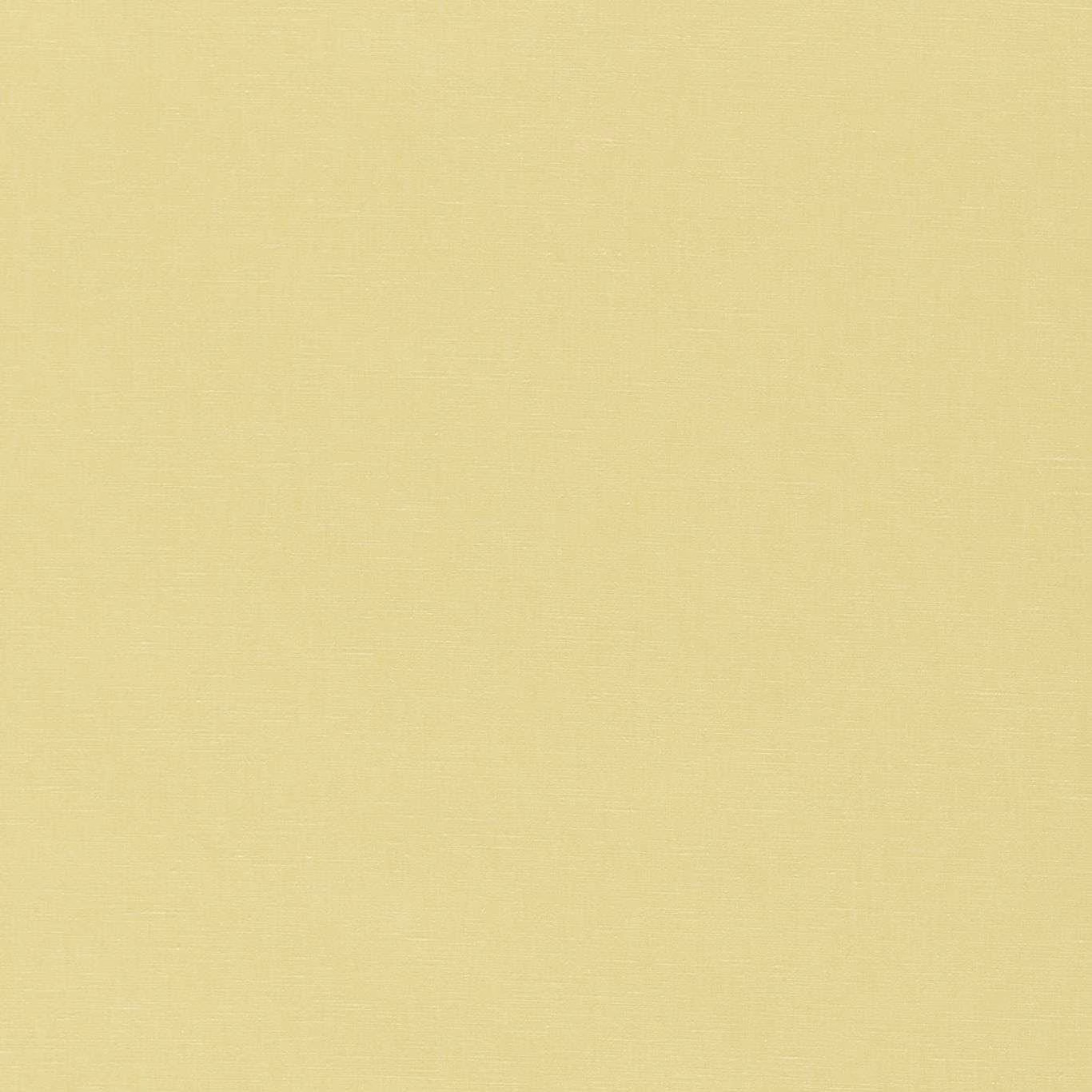 Warm buttermilk plain-weave textile with a fine, softly varied surface