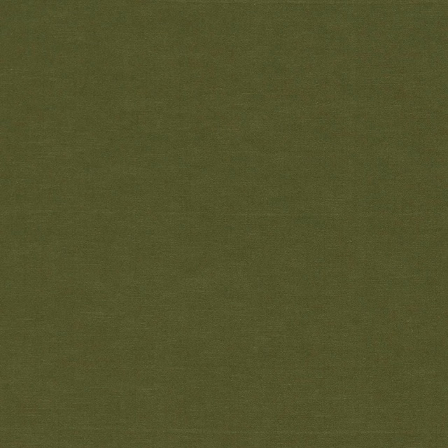 Muted fern olive plain woven fabric with subtle tonal texture