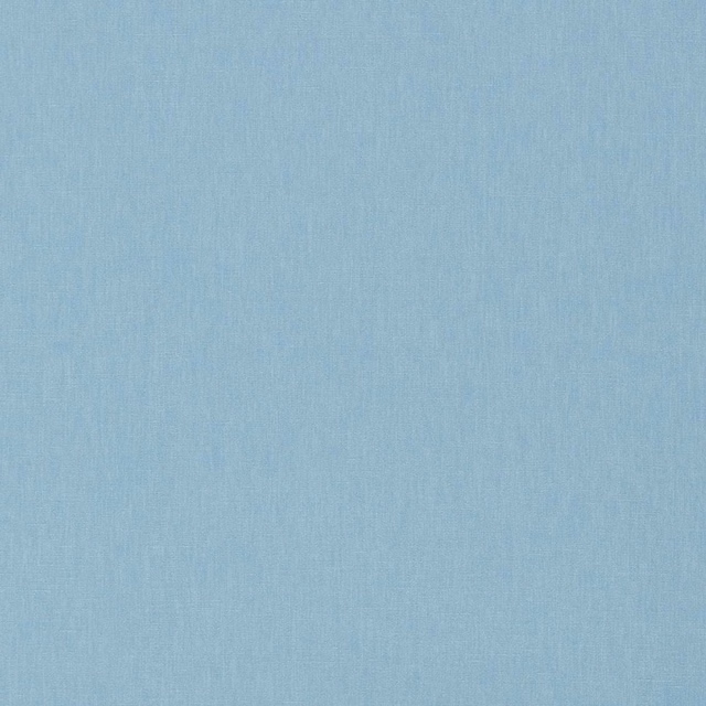 Pale ice-blue woven fabric swatch showing fine vertical texture and soft tonal variation