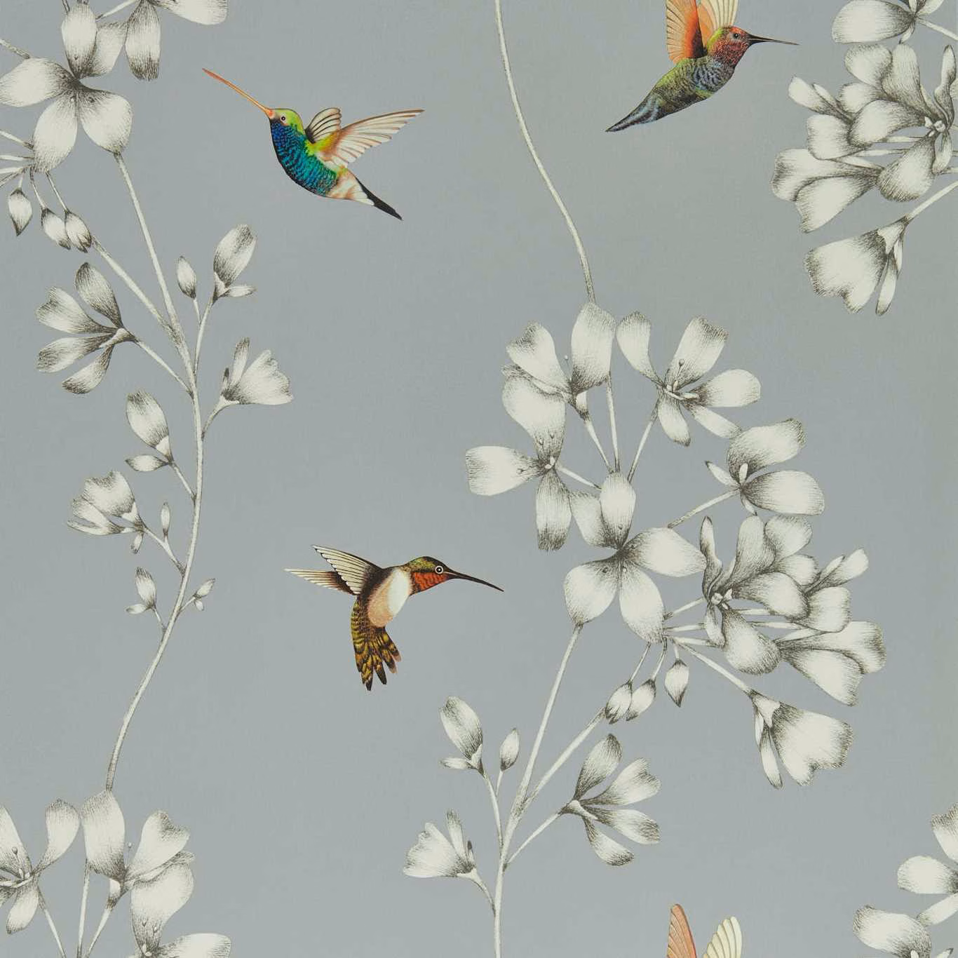 Cool grey wallpaper with pale flowering sprays and jewel-toned hummingbirds