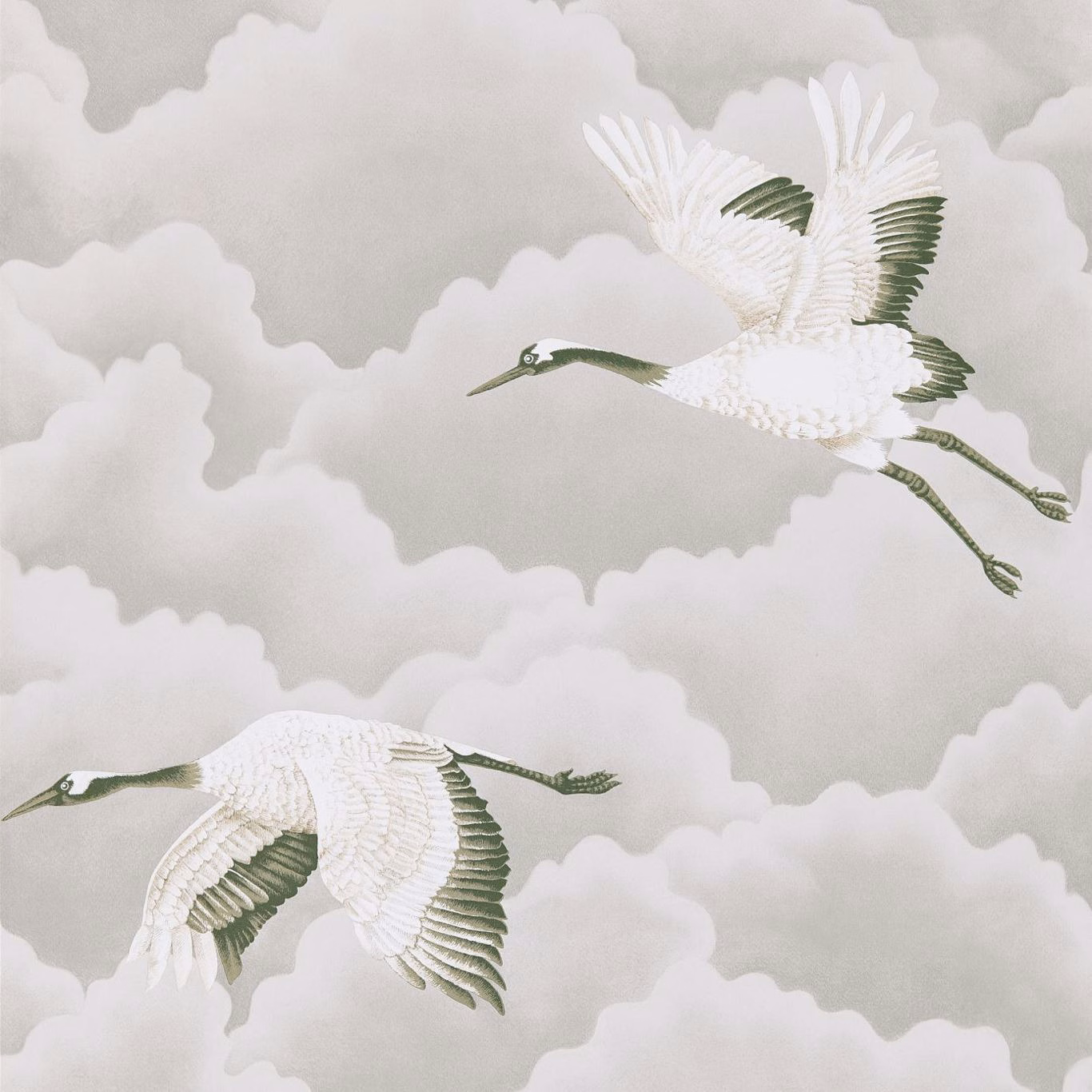 White cranes in flight over platinum-grey cloud forms with muted green wing details