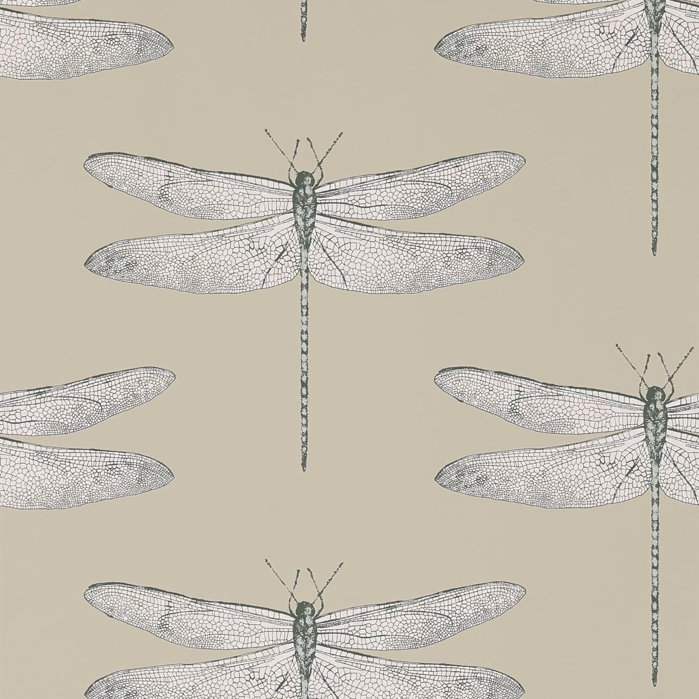Slate dragonflies with intricately veined wings on a warm jute-taupe wallpaper ground