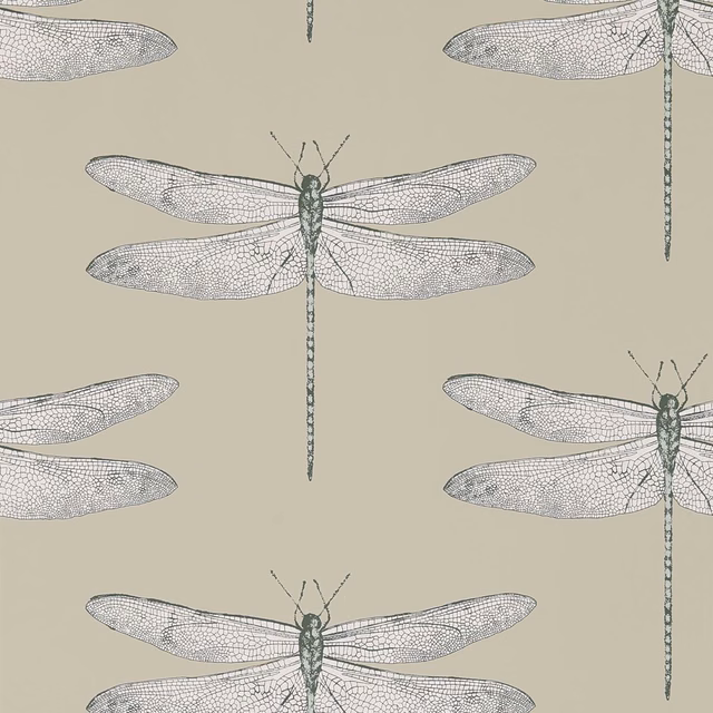 Slate dragonflies with intricately veined wings on a warm jute-taupe wallpaper ground