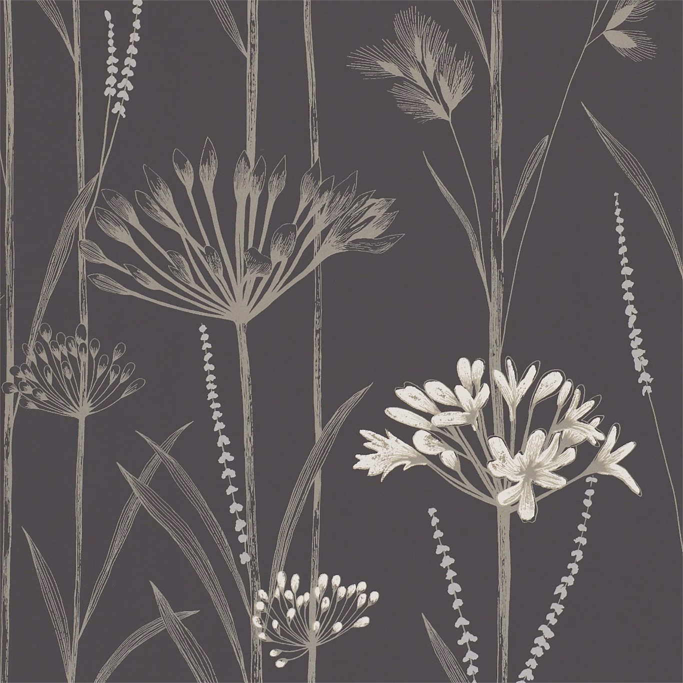 Charcoal wallpaper with pale gilver botanical stems, leaves and clustered flowers