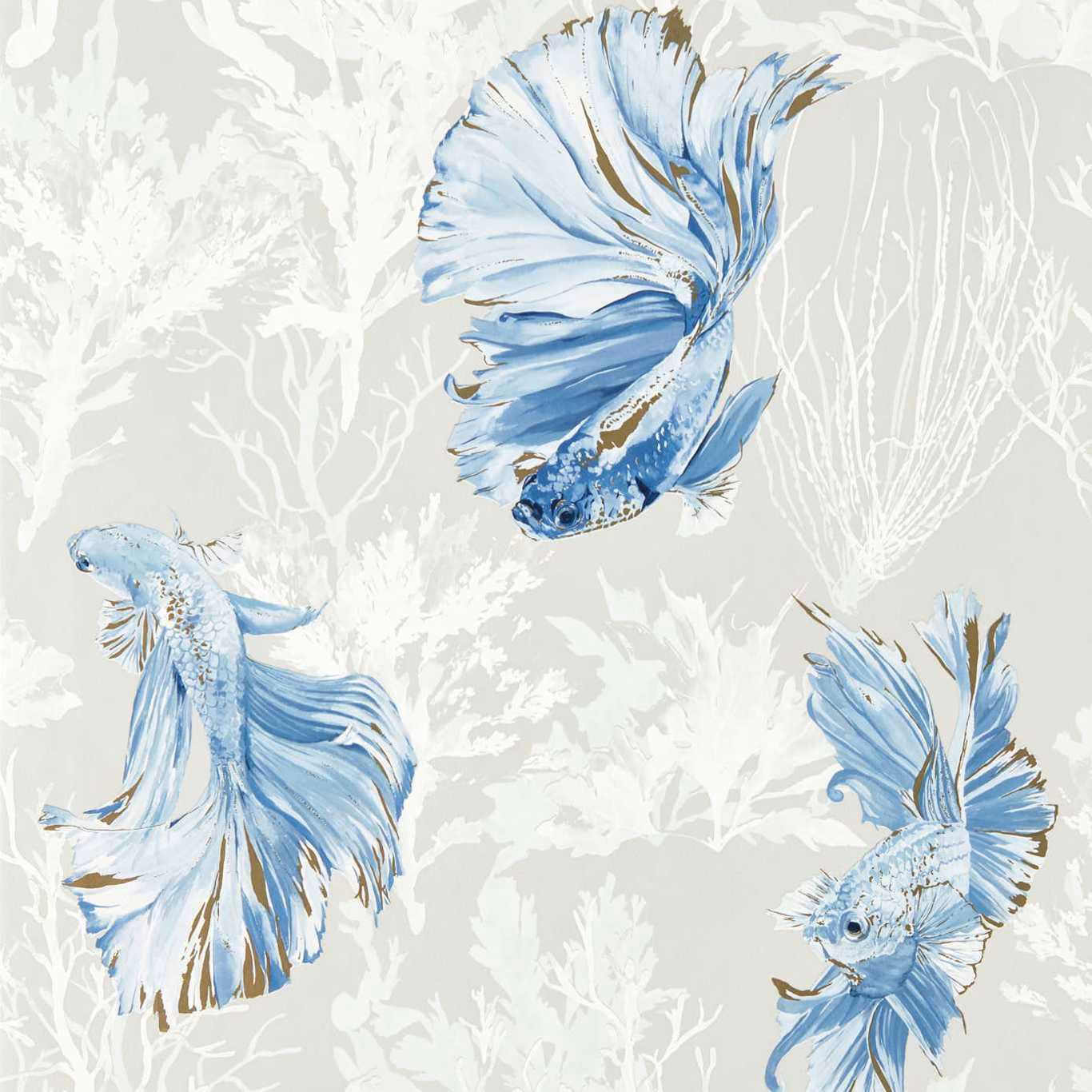 Powder-blue halfmoon fish among white coral silhouettes on a pale grey ground