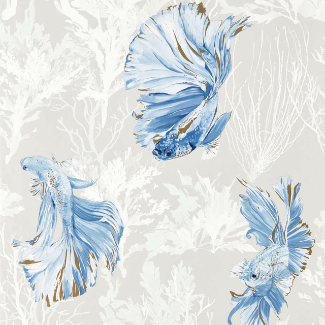 Powder-blue halfmoon fish among white coral silhouettes on a pale grey ground