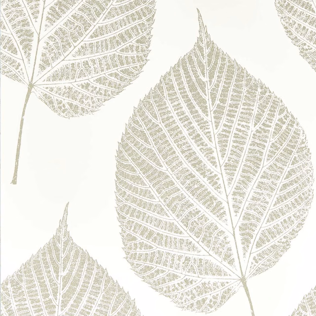 Large silver leaf outlines and fine veins on a chalk cream wallpaper ground