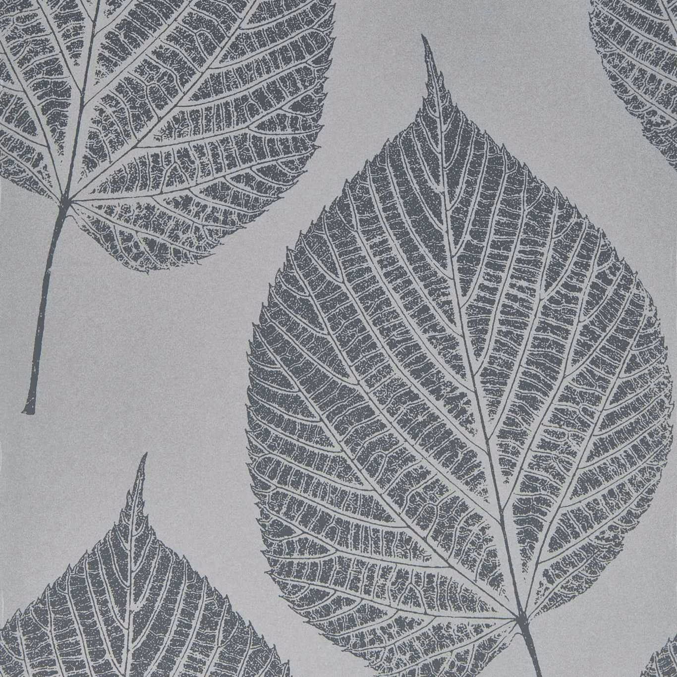 Oversized slate leaf silhouettes with fine veins on a cool silver-grey wallpaper ground