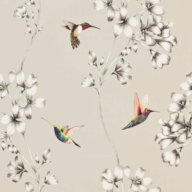 Silver-grey wallpaper with monochrome flowers and colourful hovering hummingbirds