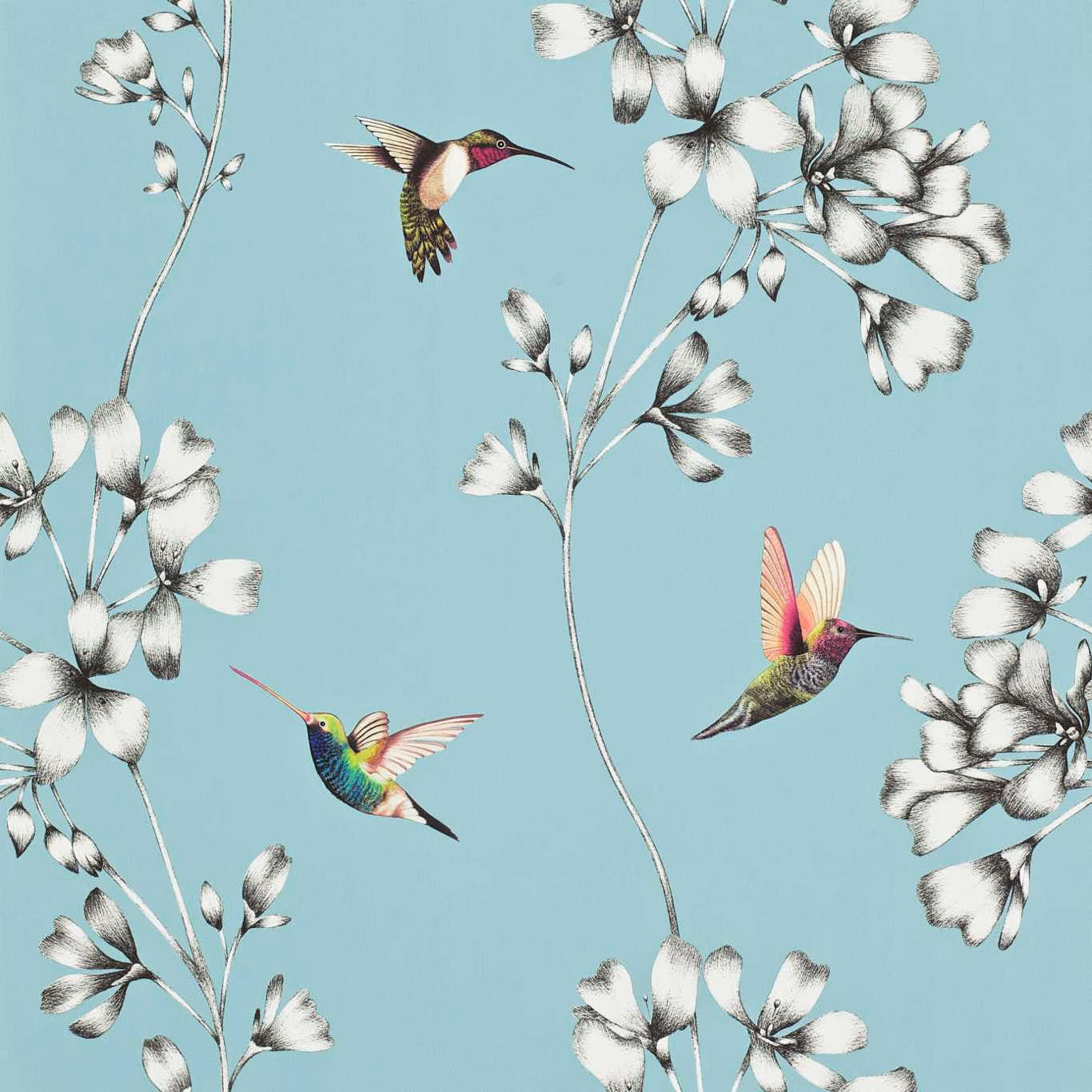 Sky-blue wallpaper with black-and-white flowers and colourful hummingbirds