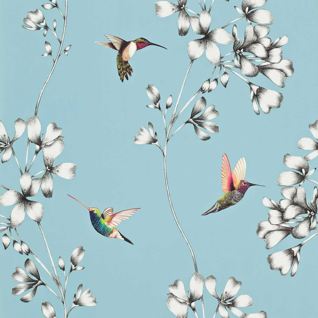 Sky-blue wallpaper with black-and-white flowers and colourful hummingbirds