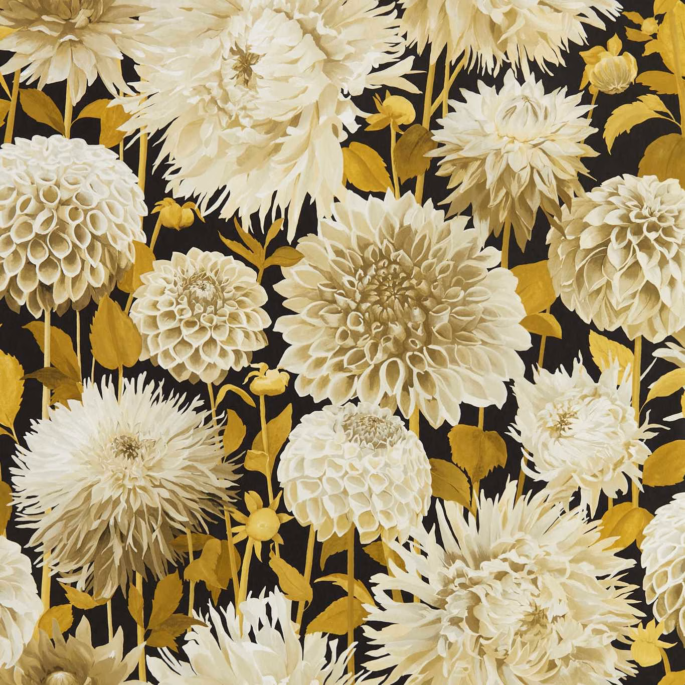 Cream dahlia blooms and ochre leaves on a deep black floral wallpaper ground