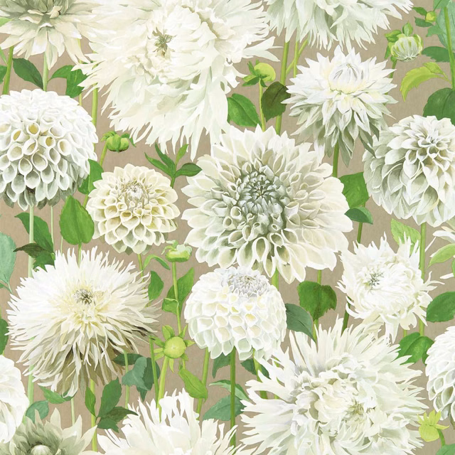 Ivory dahlia blooms and meadow-green leaves against a taupe ground