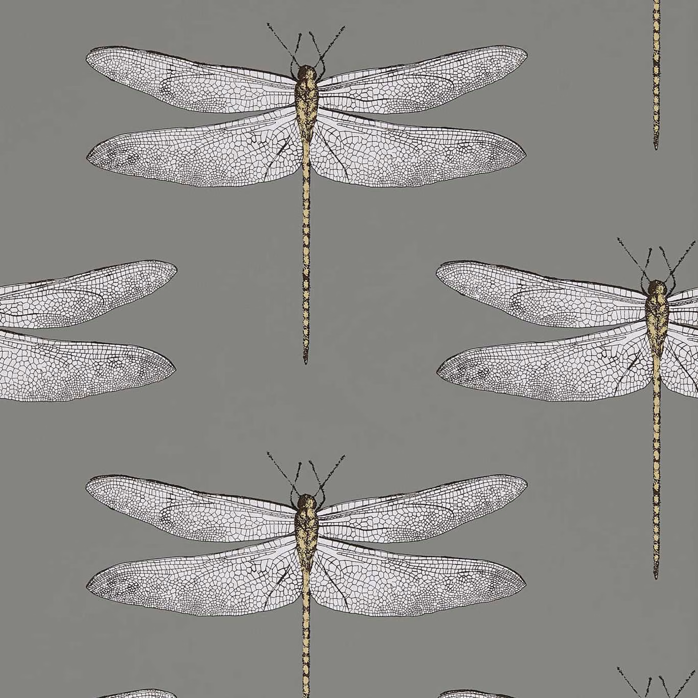 Graphite grey wallpaper with repeating almond-winged dragonflies in fine detailed linework