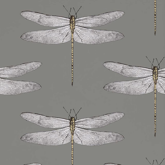 Graphite grey wallpaper with repeating almond-winged dragonflies in fine detailed linework
