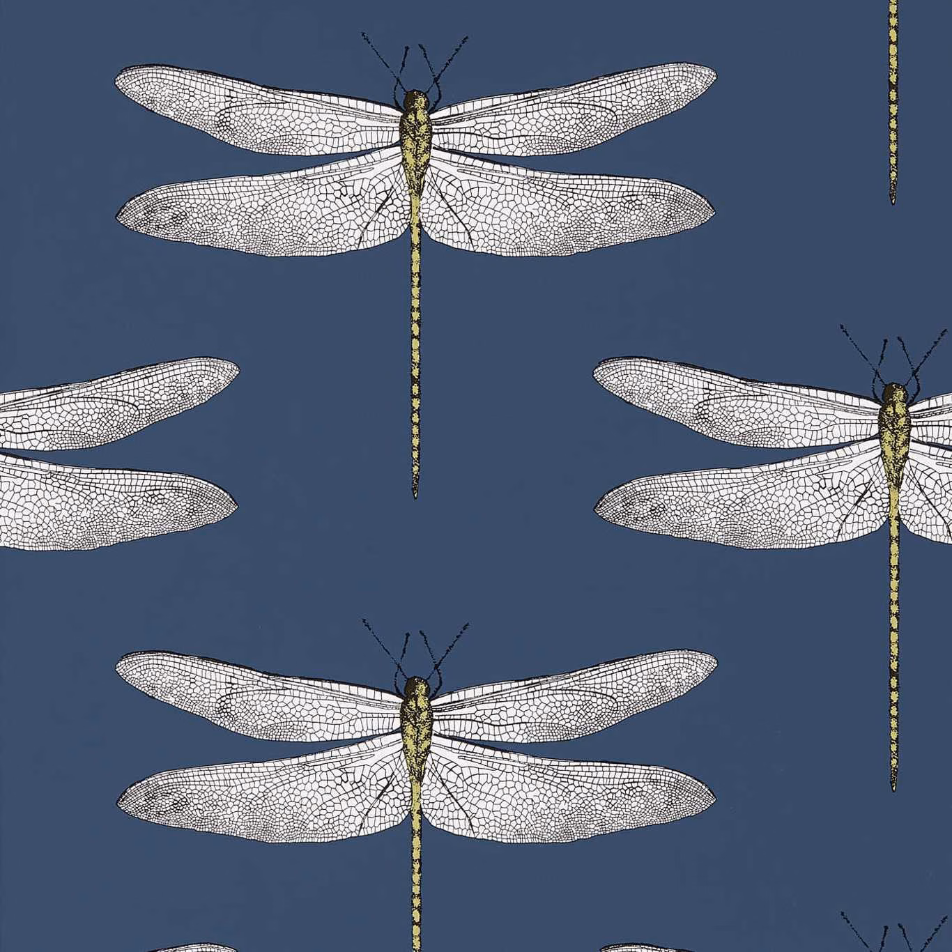 Ink-blue wallpaper with pale netted dragonflies and chartreuse bodies
