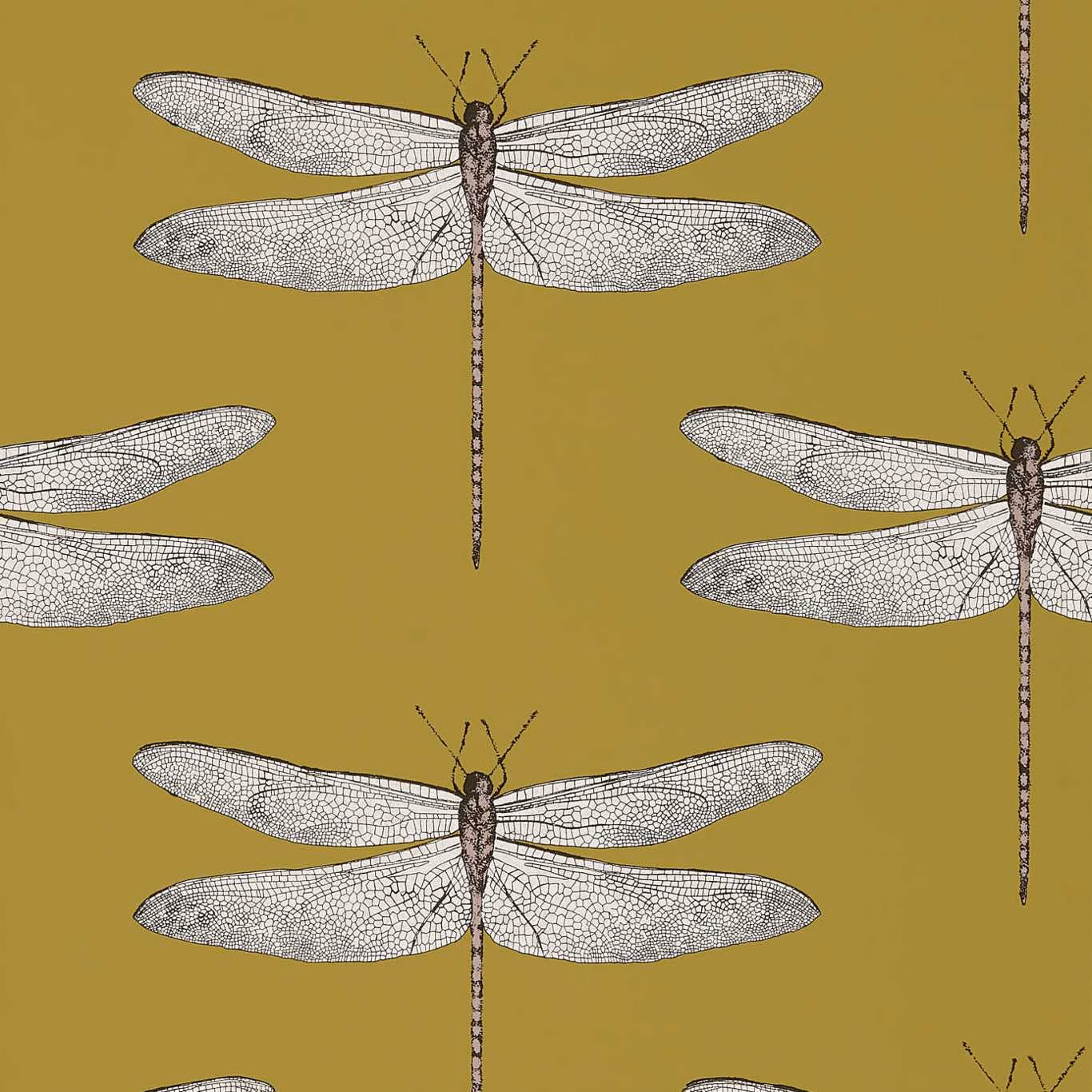 Warm ochre wallpaper with pale veined dragonflies and grape-toned bodies