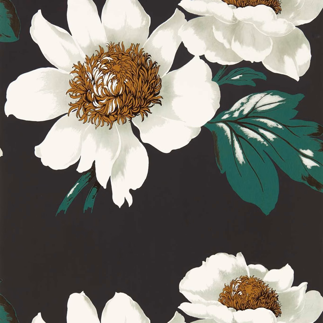Charcoal-black wallpaper with oversized ivory peonies, gold-brown centres and deep fig-green leaves