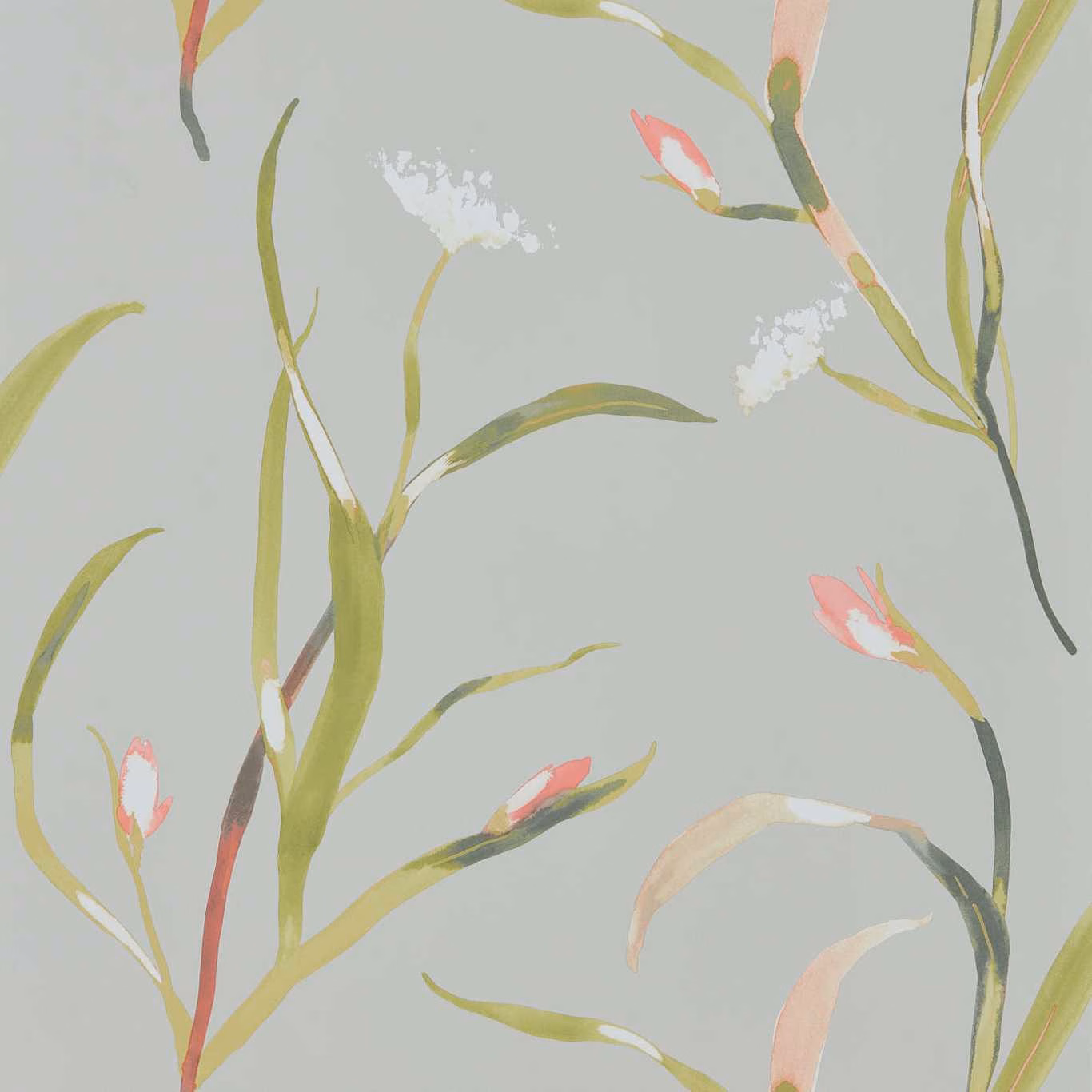 Silver-grey botanical wallpaper with coral buds, olive leaves and white feathery blooms