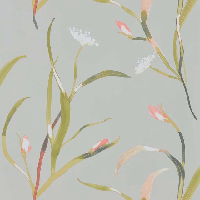 Silver-grey botanical wallpaper with coral buds, olive leaves and white feathery blooms