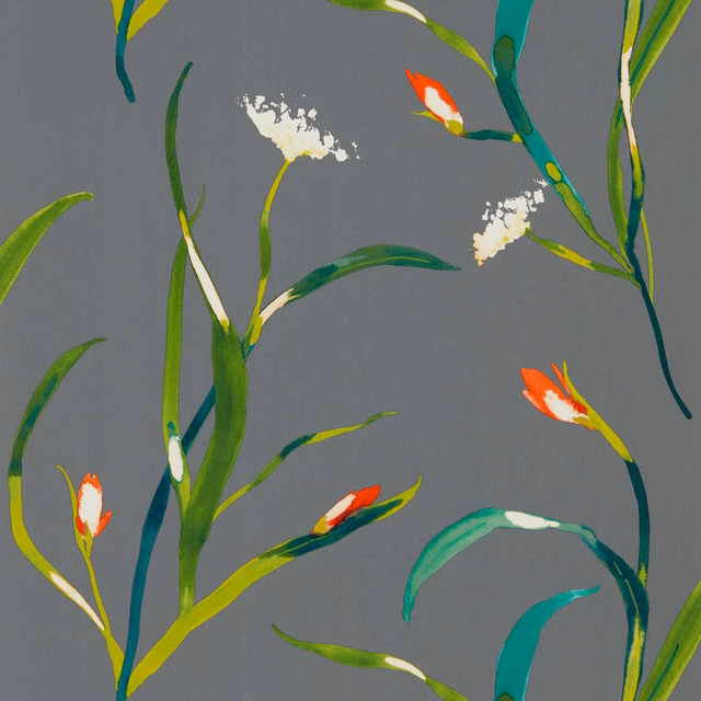 Charcoal wallpaper with kiwi-green stems, red-orange buds and white seedheads