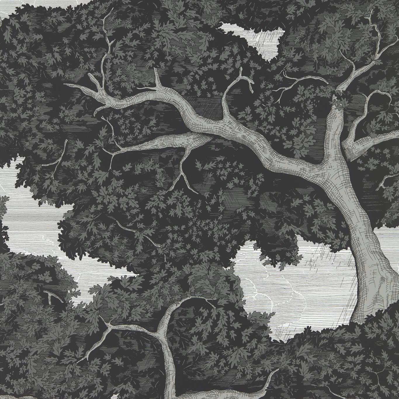 Charcoal woodland wallpaper with pale grey oak branches and etched foliage