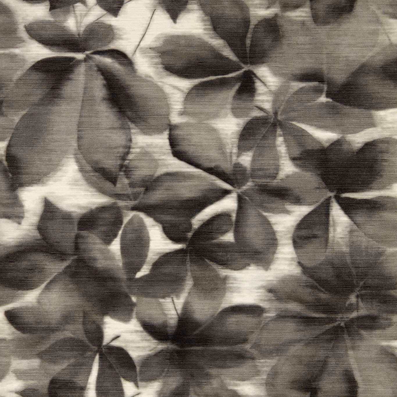 Black earth botanical leaves layered over parchment with fine horizontal surface striations
