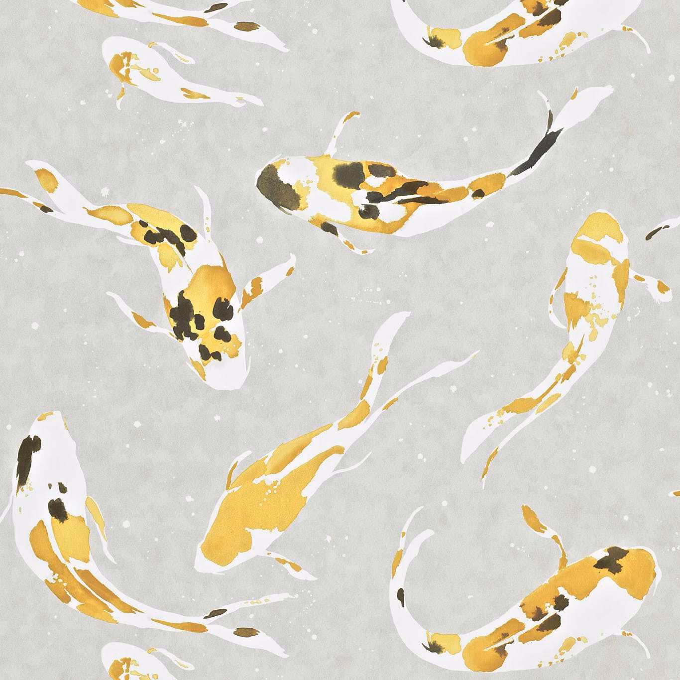 Saffron-gold and white koi with dark accents on a pale grey ground