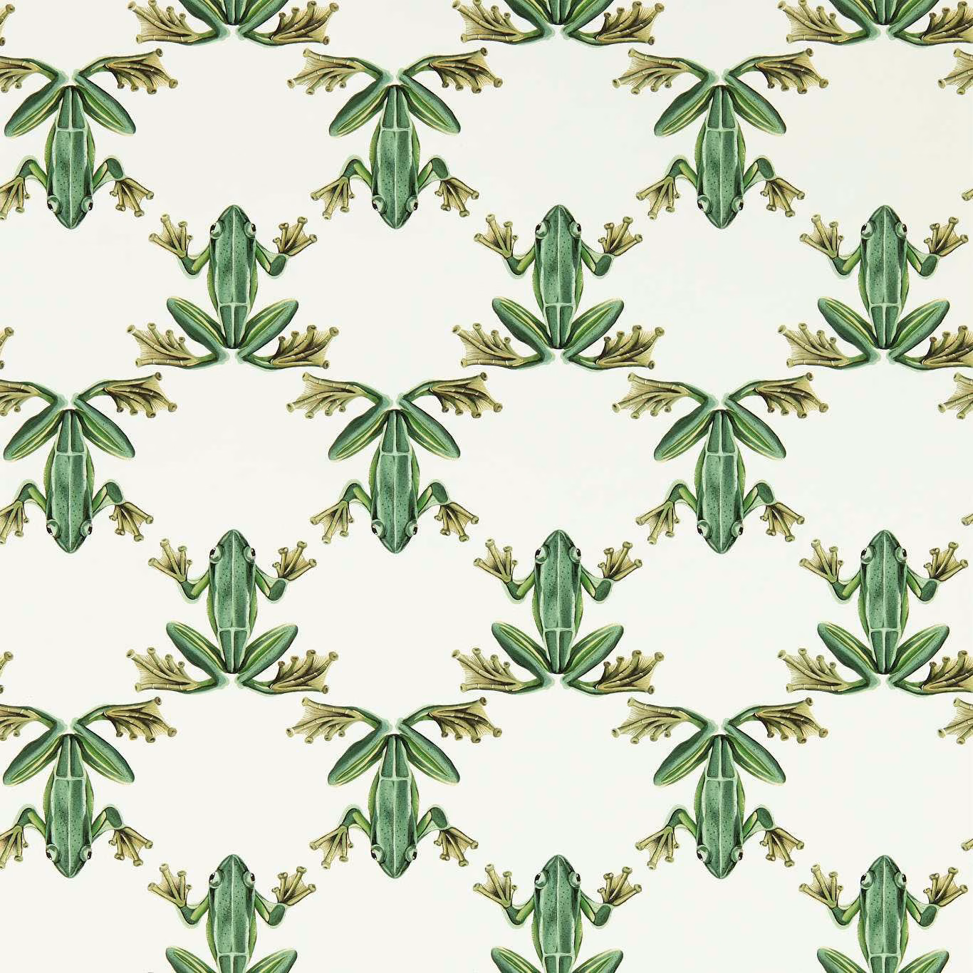 Forest-green illustrated frogs with olive detailing repeating across a chalk wallpaper ground