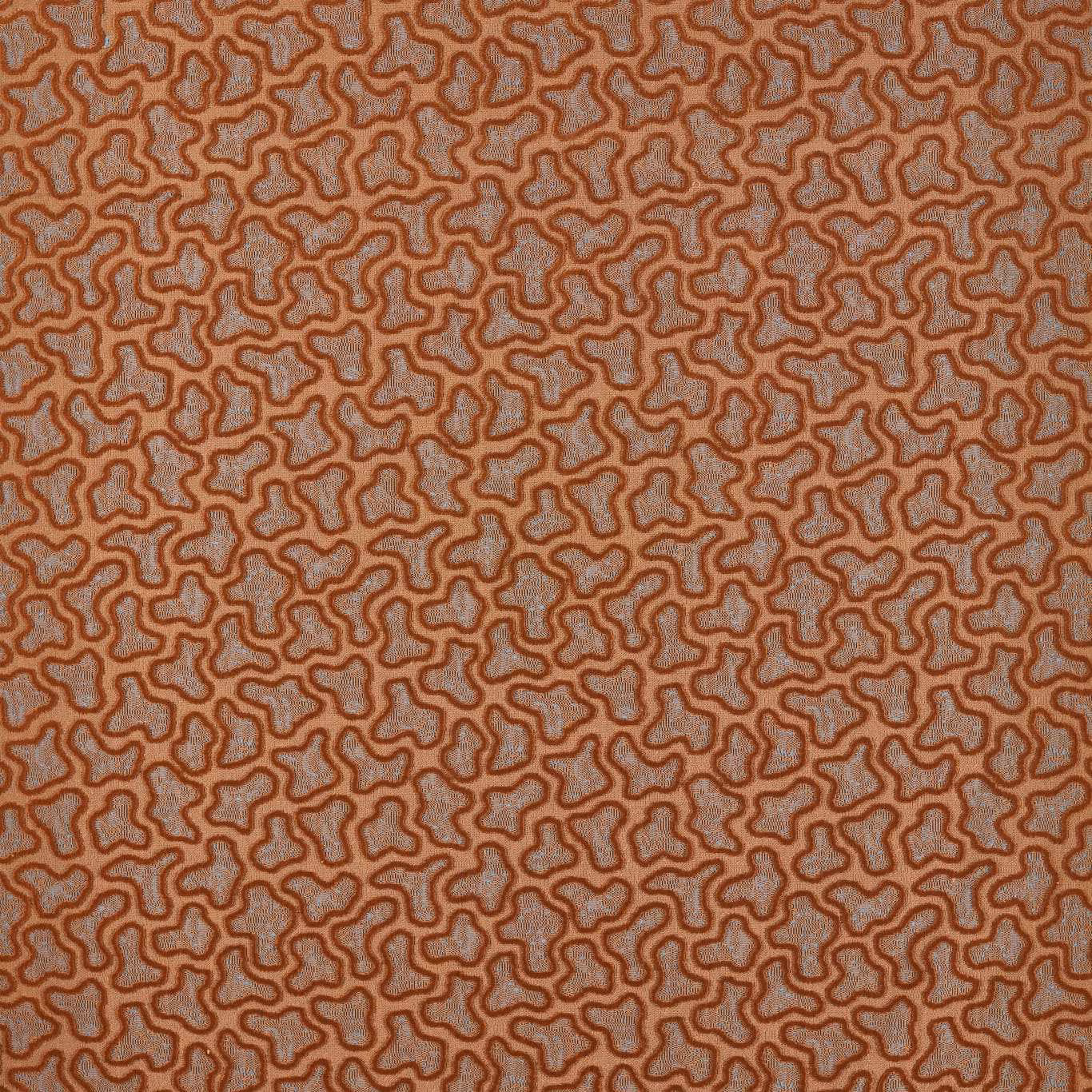Burnt amber velvet with topaz ground and dense looping organic motif