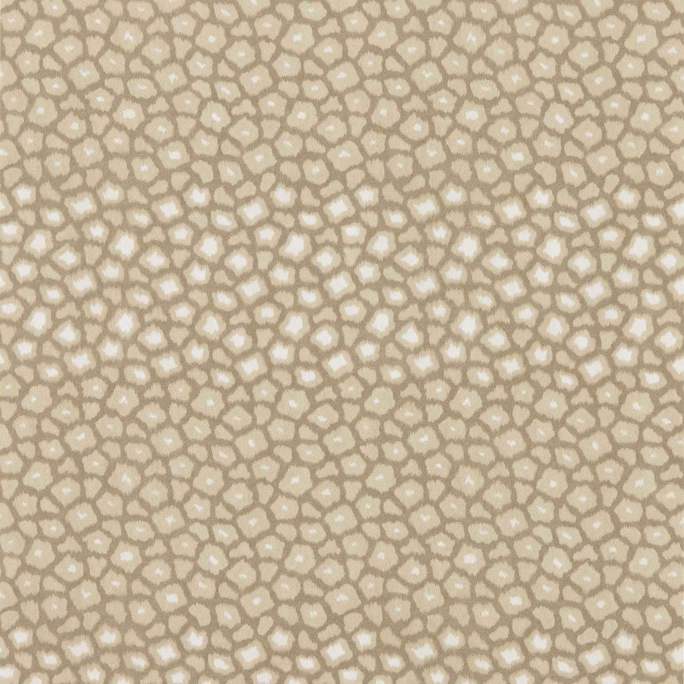 Warm sandstone wallpaper with small cream-centred, taupe-outlined organic cells
