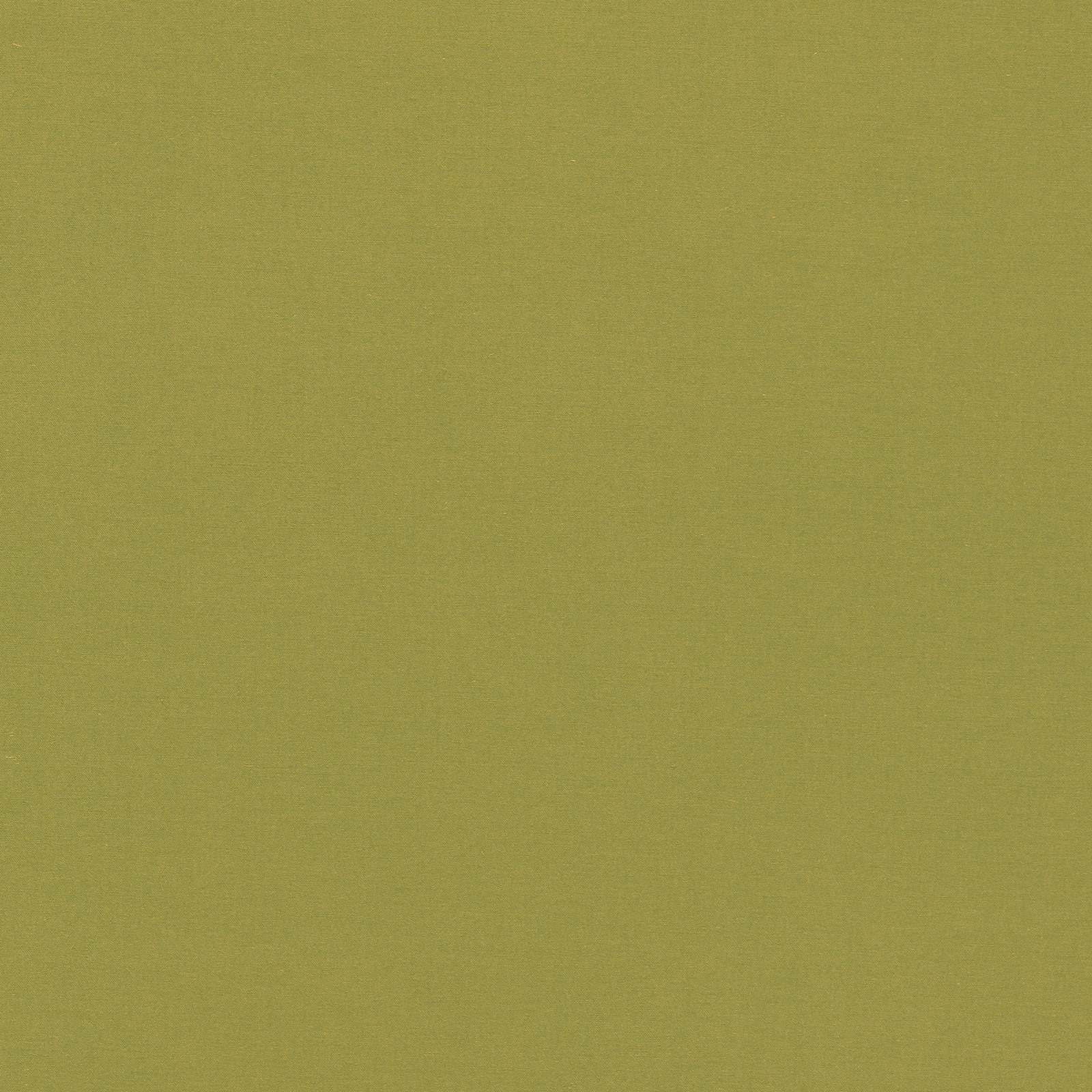 Warm olive-green plain weave with a softly granular, even surface