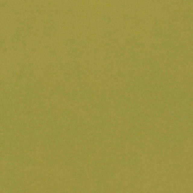 Warm olive-green plain weave with a softly granular, even surface