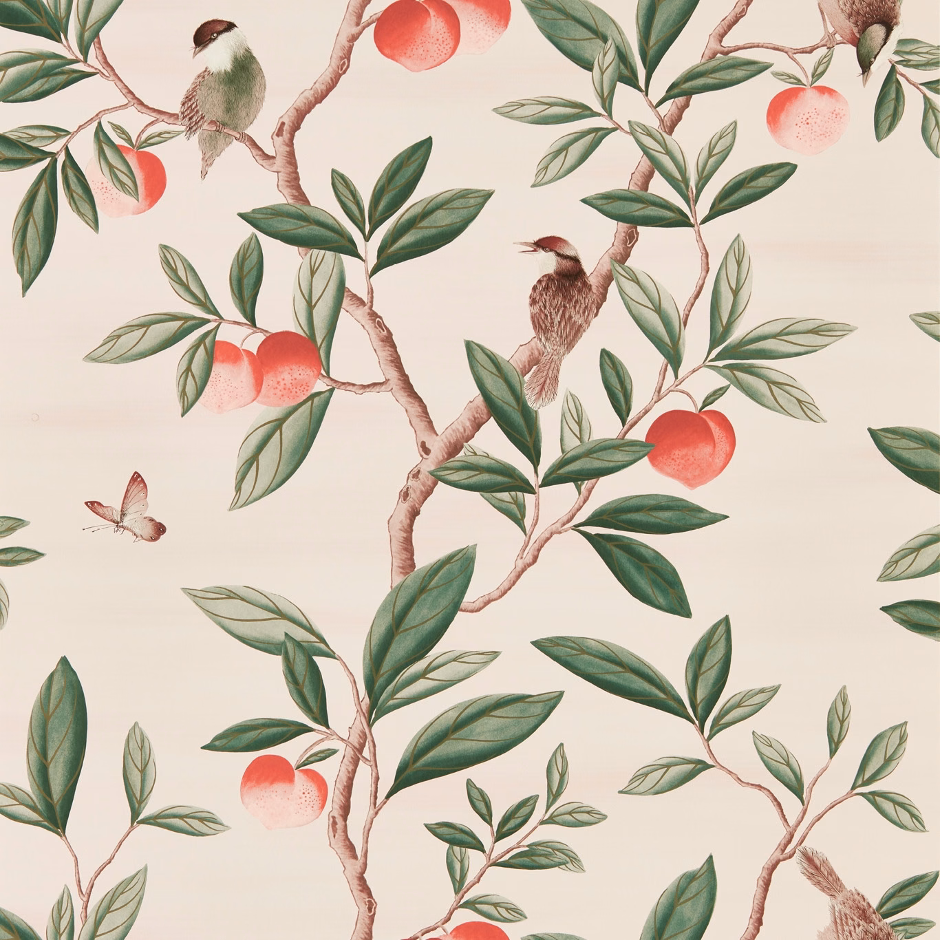 Powder wallpaper with sage branches, peach fruit, birds and fine botanical detail