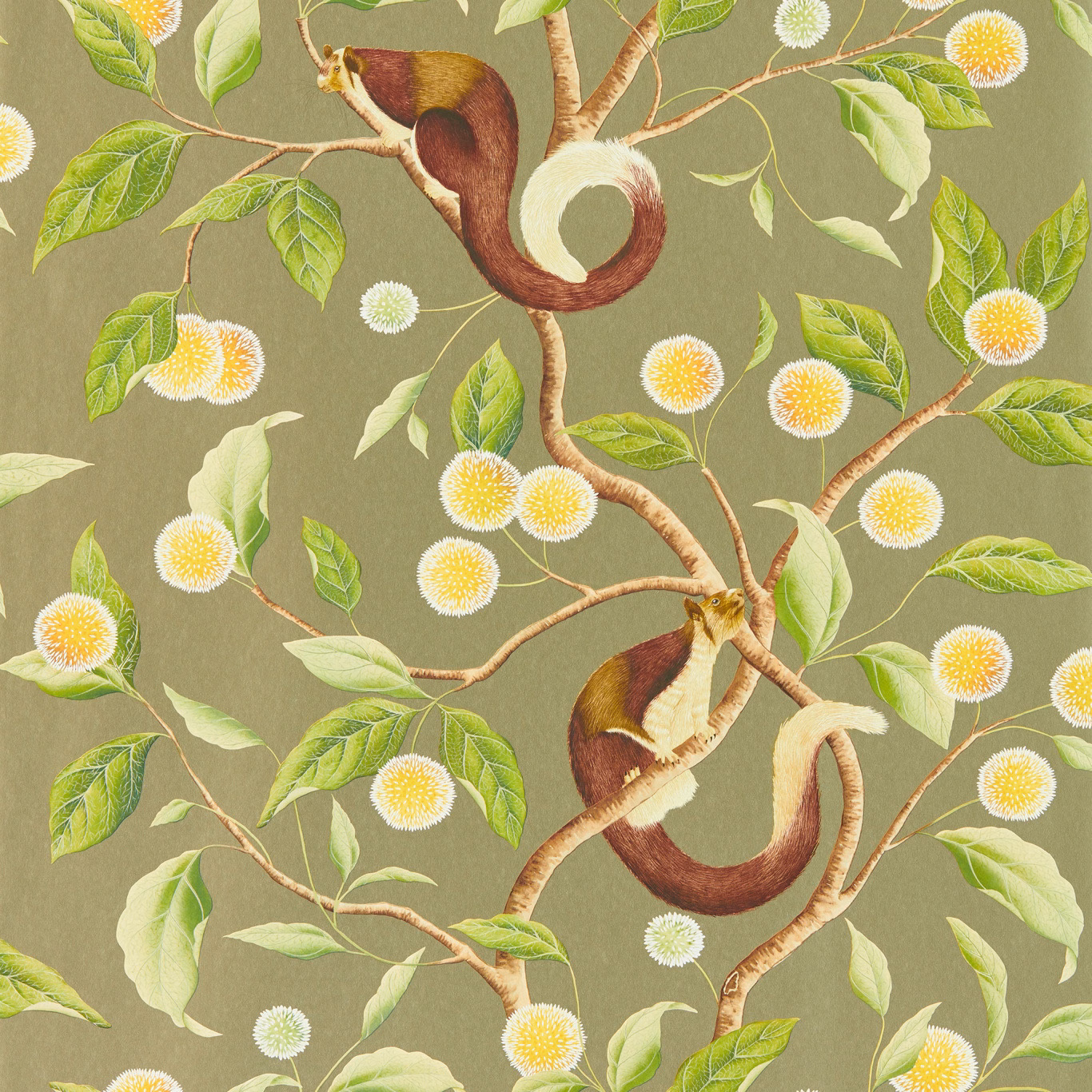 Olive wallpaper with russet birds, leafy branches and white-yellow blossom