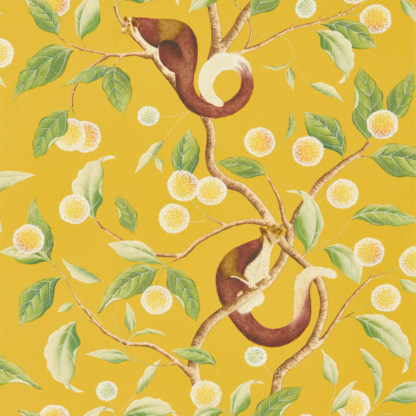 Mustard yellow wallpaper with brown monkeys, green leaves and white pom-pom blossoms