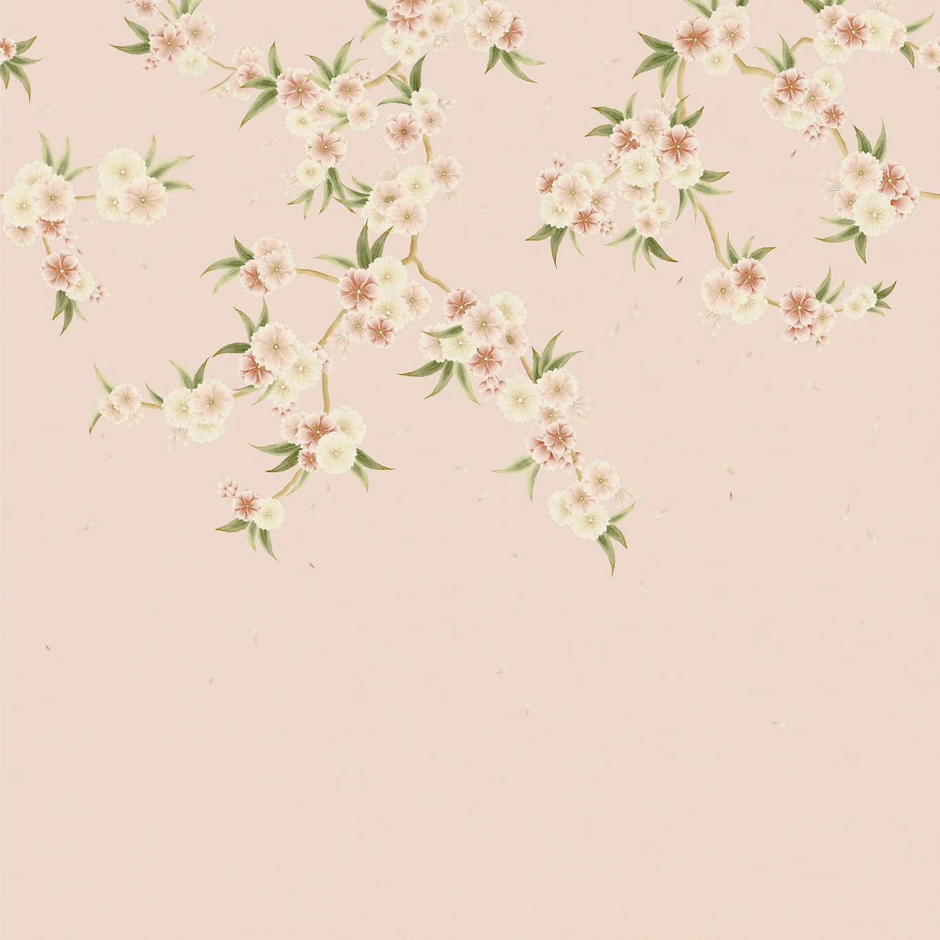 Blush wallpaper with airy cream peony sprays, pink centres and sage leaves